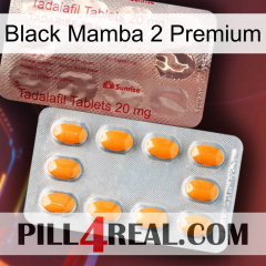 Black Mamba 2 Premium new13